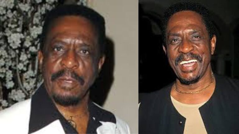 ike turner ehepartnerin