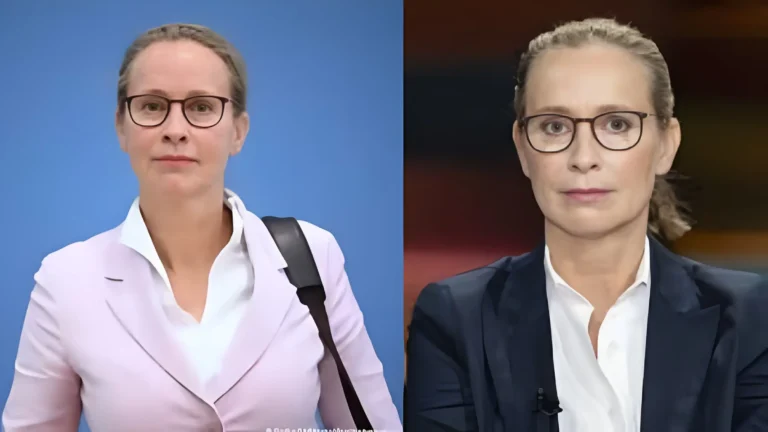 frauke brosius gersdorf wikipedia